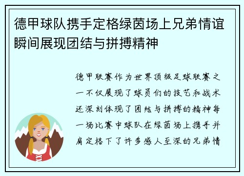 德甲球队携手定格绿茵场上兄弟情谊瞬间展现团结与拼搏精神